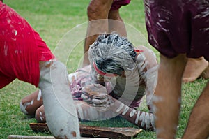 A `smoking ceremony` among Indigenous Australians that involves burning plants to produce smoke.